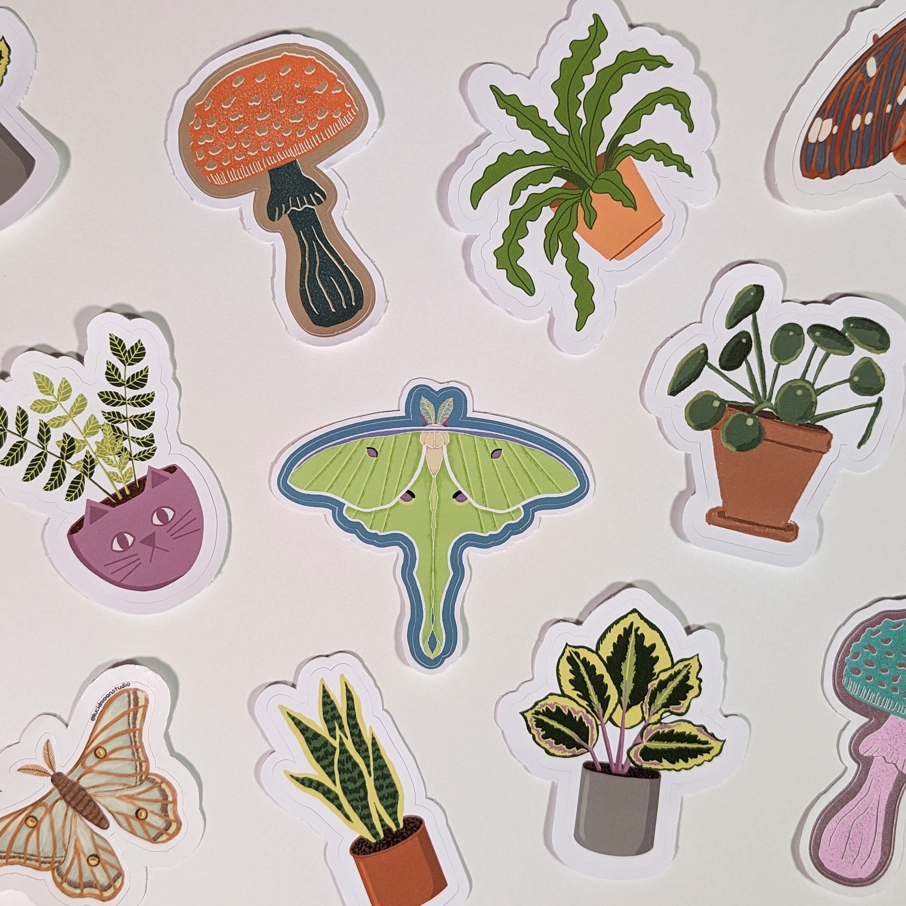 A photo of a huge assortment of cute die-cut glossy and matte waterproof vinyl stickers featuring mushrooms, plants, moths, and butterflies.