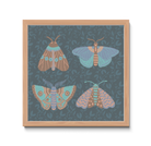 Framed artwork with hand-drawn moths on a blue floral patterned background