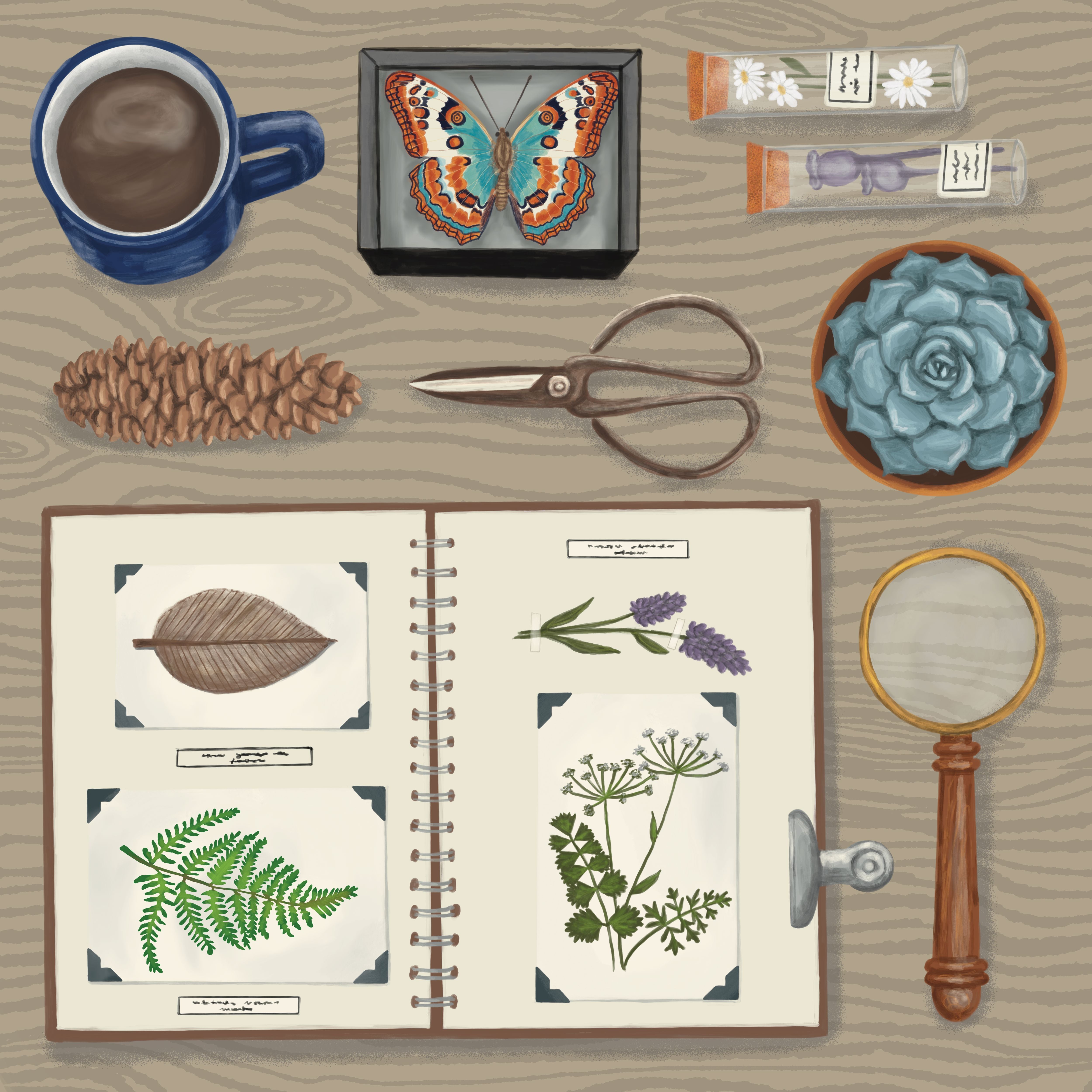 Botanist's Desk 8" x 8" Art Print Art Print Lucid Moon Studio