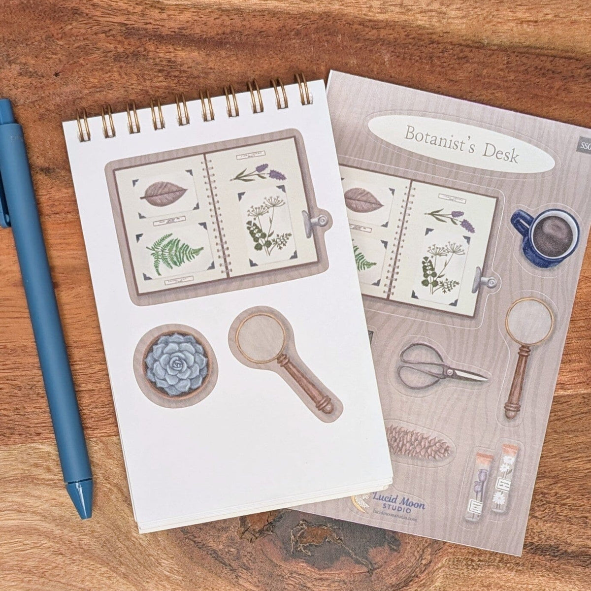 Botanist's Desk Vinyl Sticker Sheet stickers Lucid Moon Studio