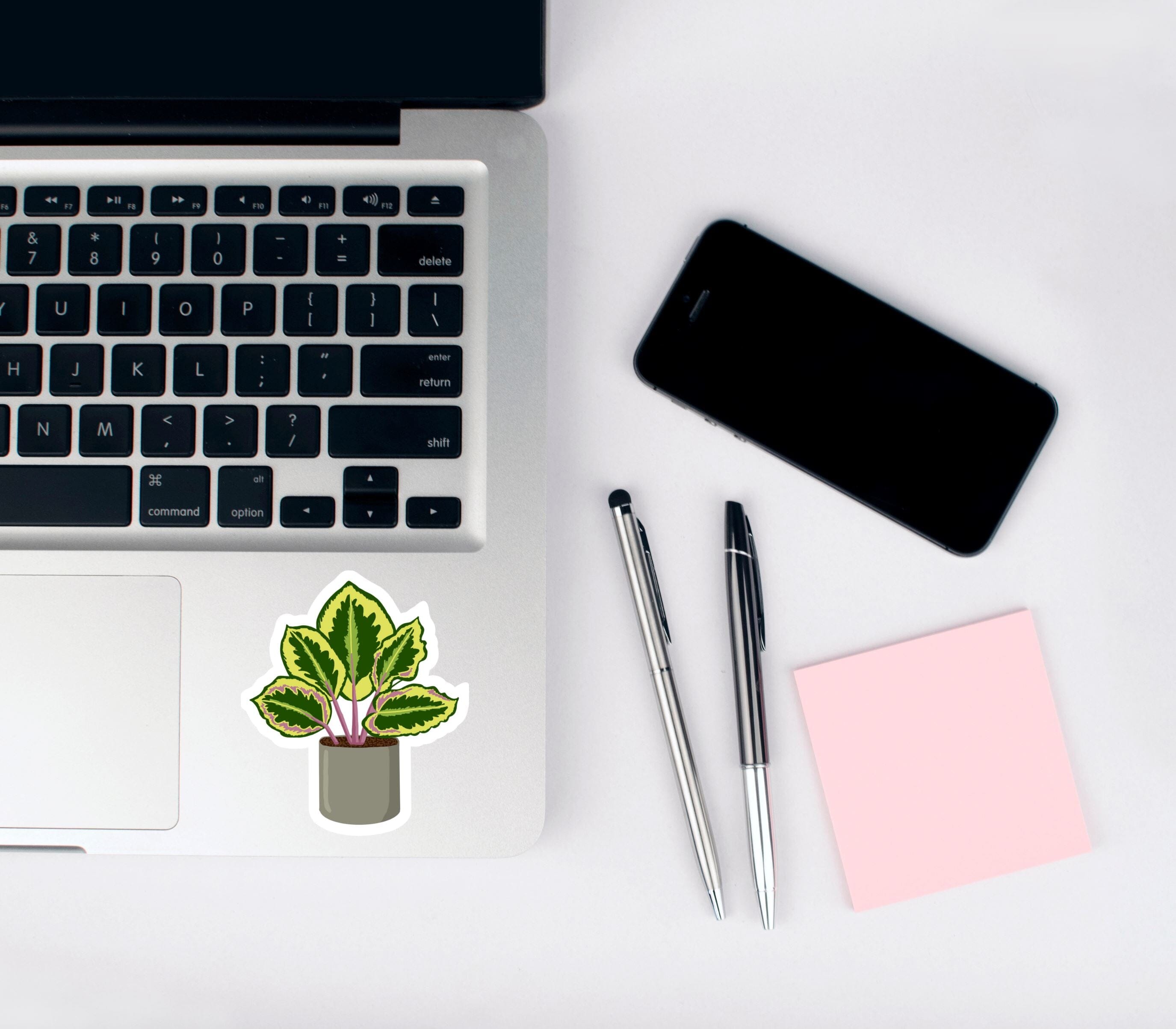 Calathea Plant Matte Vinyl Waterproof Sticker stickers Lucid Moon Studio