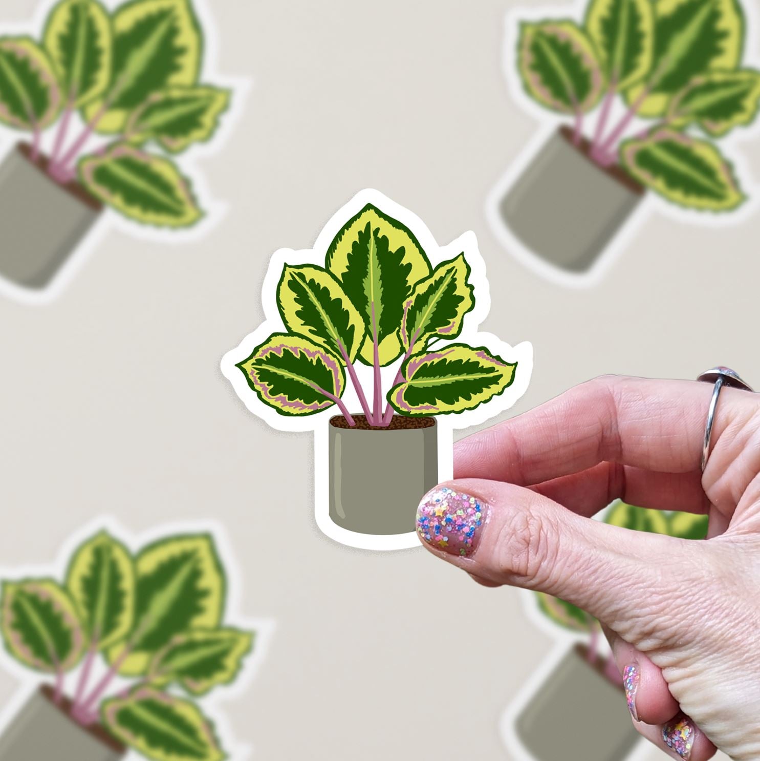 Calathea Plant Vinyl Sticker stickers Lucid Moon Studio