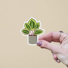 Calathea Plant Vinyl Sticker stickers Lucid Moon Studio