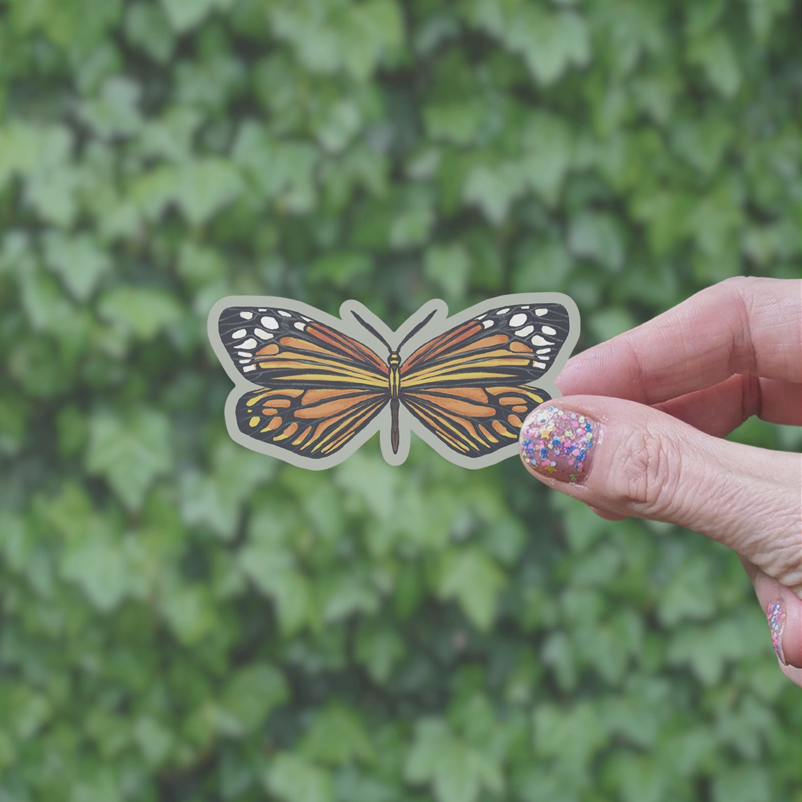 Chalcosiine Burnet Moth Vinyl Sticker stickers Lucid Moon Studio LLC