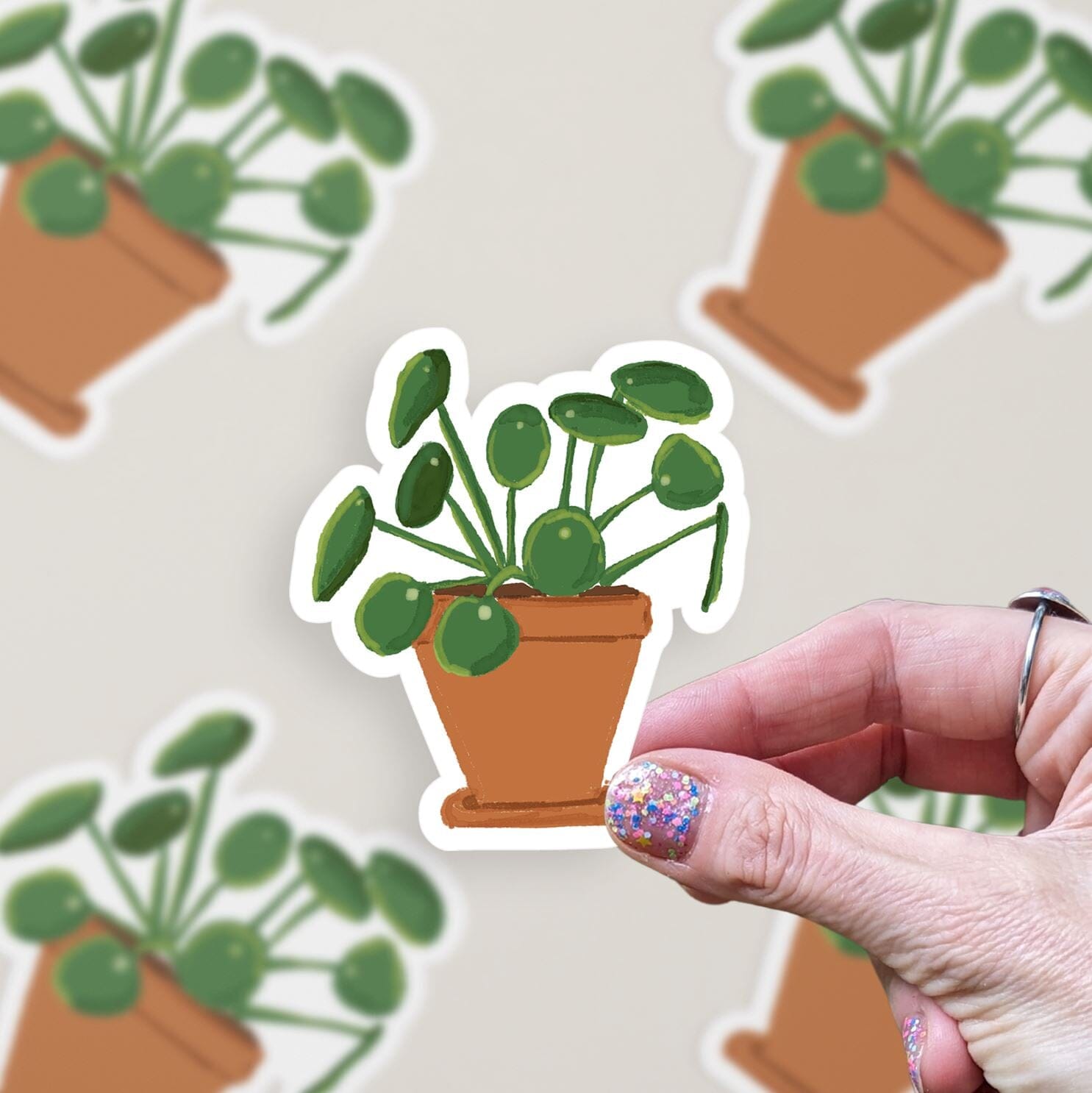 Chinese Money Plant Vinyl Sticker stickers Lucid Moon Studio