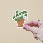 Chinese Money Plant Vinyl Sticker stickers Lucid Moon Studio