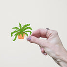 Hand holding a vinyl matte die cut sticker with a hand drawn illustration of a green crocodile fern plant in an orange terracotta pot against a white background.