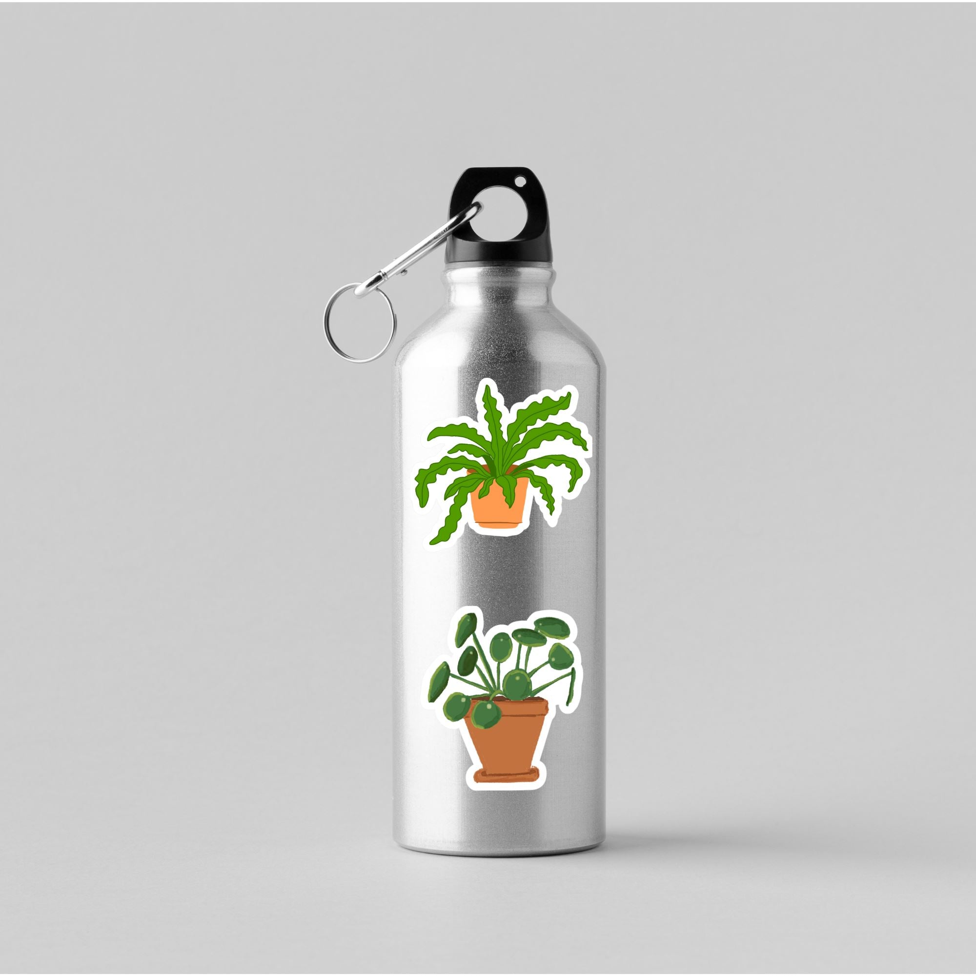 A silver water bottle with crocodile fern and Chinese money plant matte vinyl die cut stickers on it.