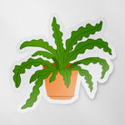Vinyl matte die cut sticker with a hand drawn illustration of a green crocodile fern plant in an orange terracotta pot against a white background.