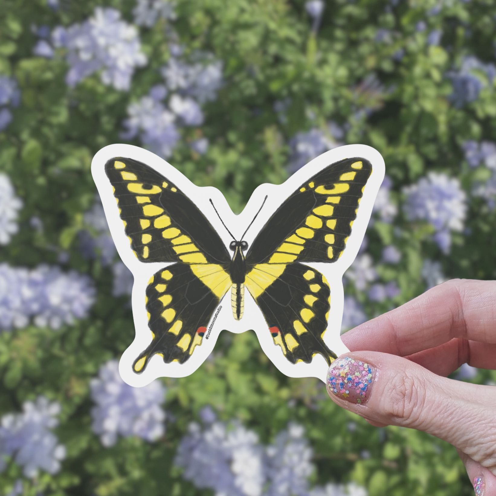 Giant Swallowtail Butterfly Vinyl Sticker stickers Lucid Moon Studio