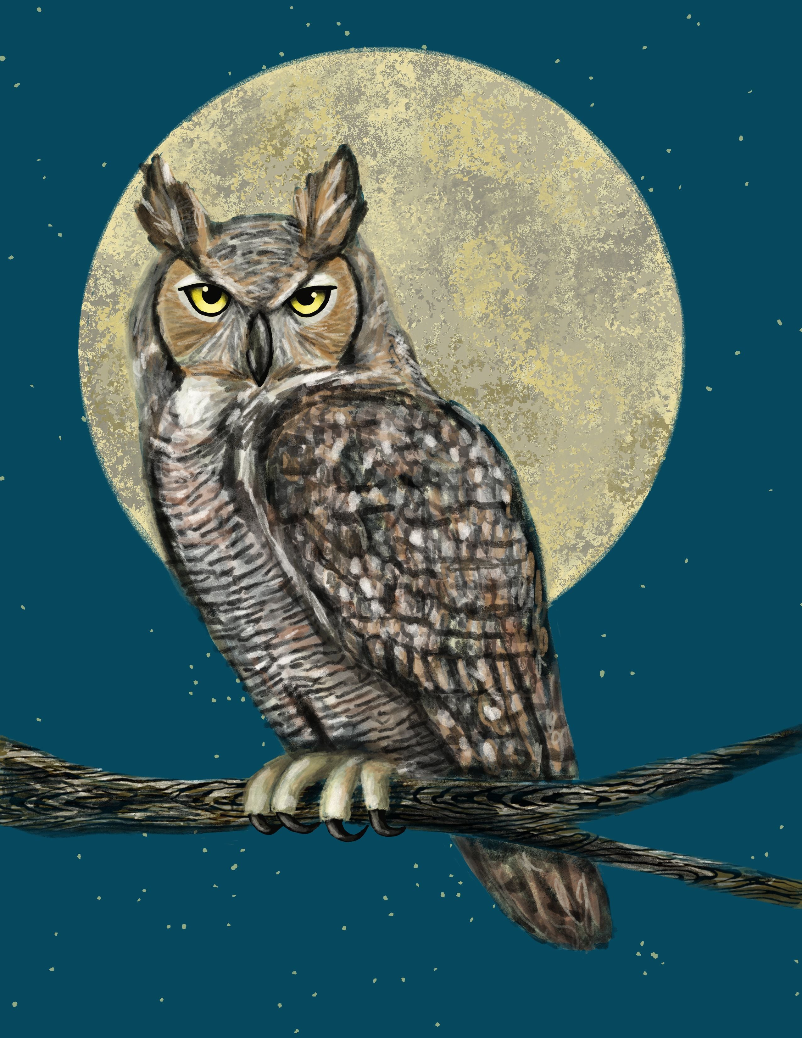Great Horned Owl 8" x 10" Art Print Art Print Lucid Moon Studio