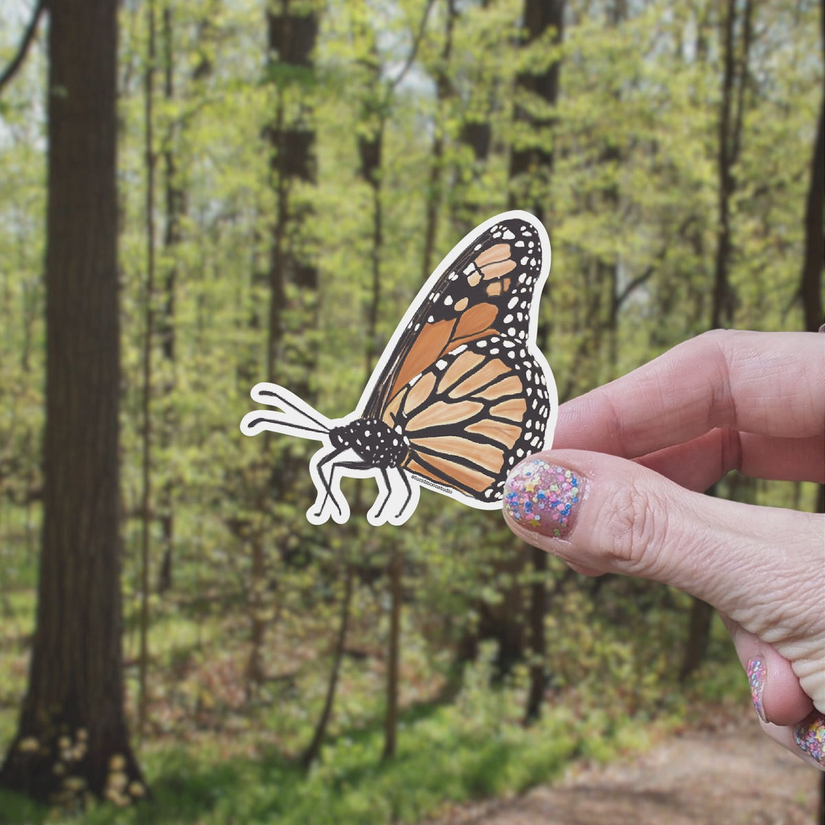 Monarch Butterfly Vinyl Sticker stickers Lucid Moon Studio