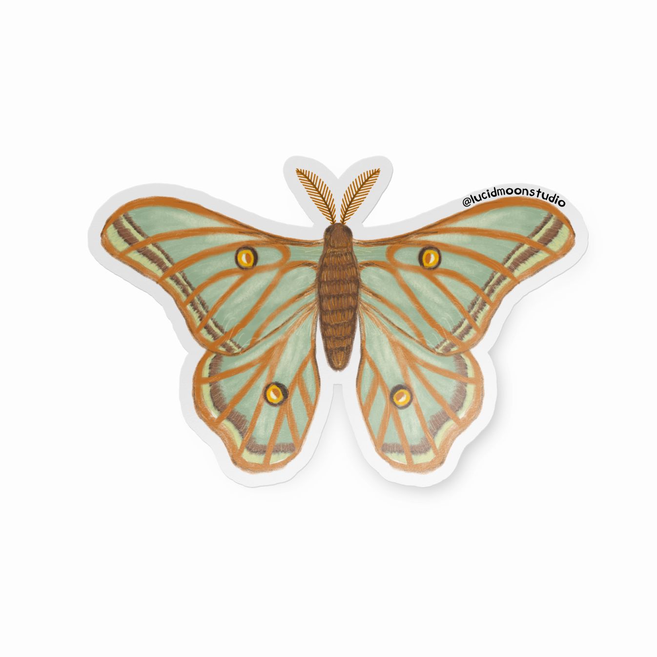 Nature Finds Sticker Pack - 5 Stickers stickers Lucid Moon Studio