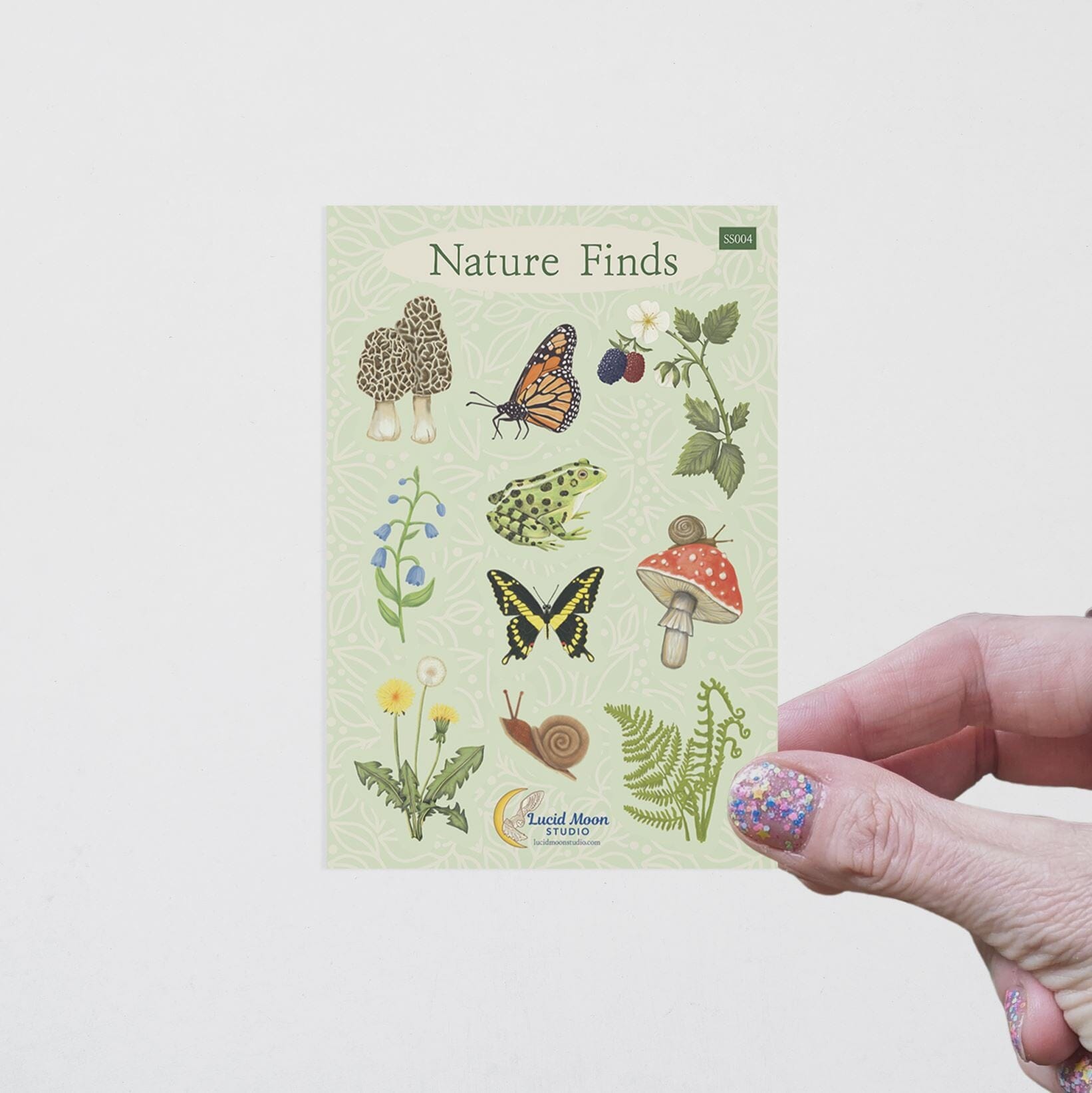 Nature Finds Matte Vinyl Sticker Sheet stickers Lucid Moon Studio