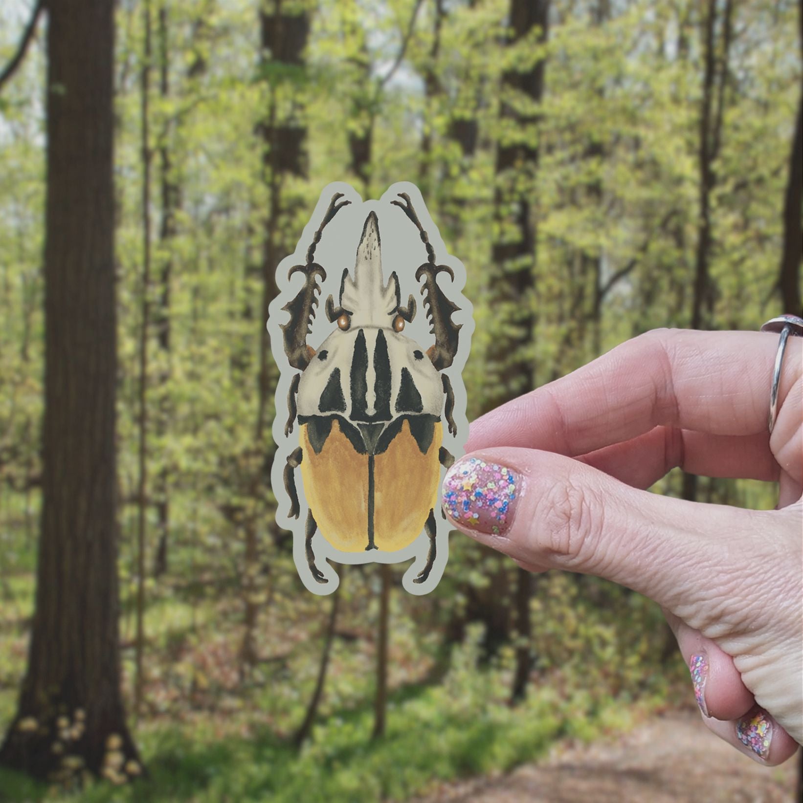 Oberthuer's Fruit Chafer Beetle Vinyl Sticker stickers Lucid Moon Studio LLC