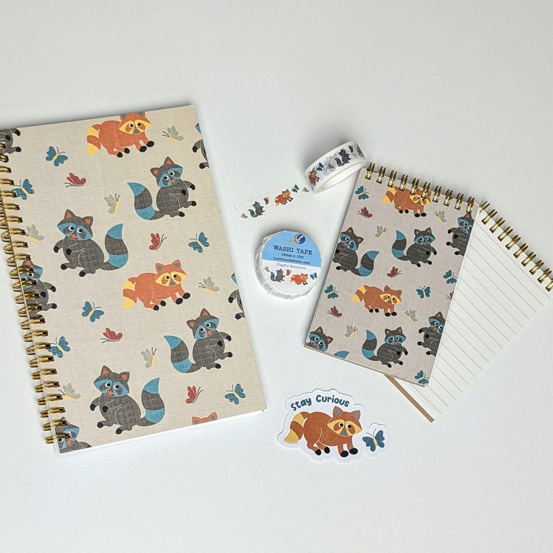 Playful Raccoon Gift Set Gift Set Lucid Moon Studio