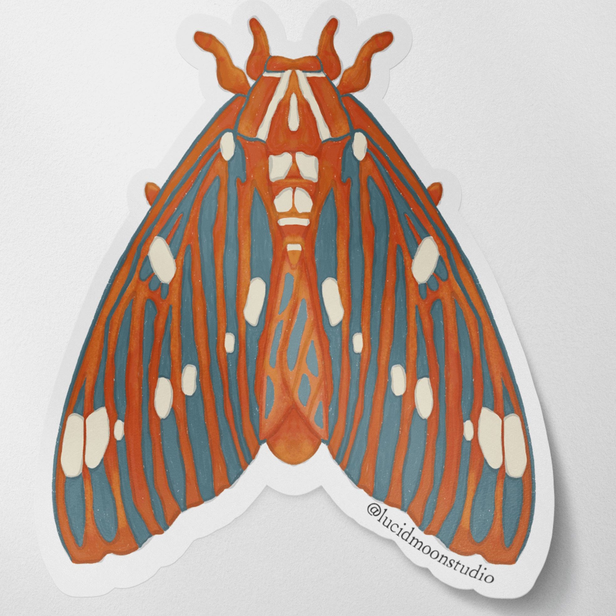 Regal Moth Glossy Vinyl Waterproof Sticker stickers Lucid Moon Studio 