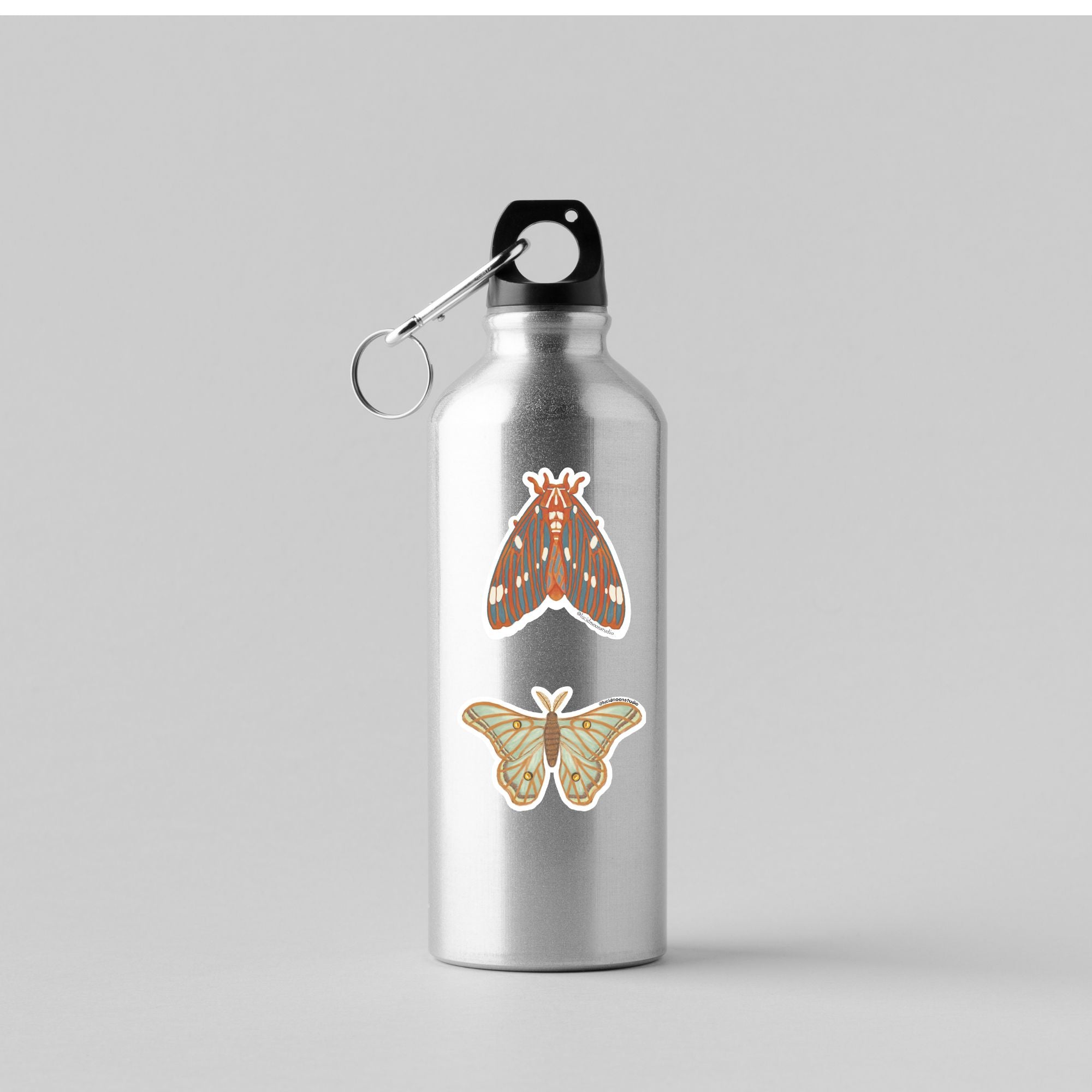 Regal Moth Vinyl Sticker stickers Lucid Moon Studio