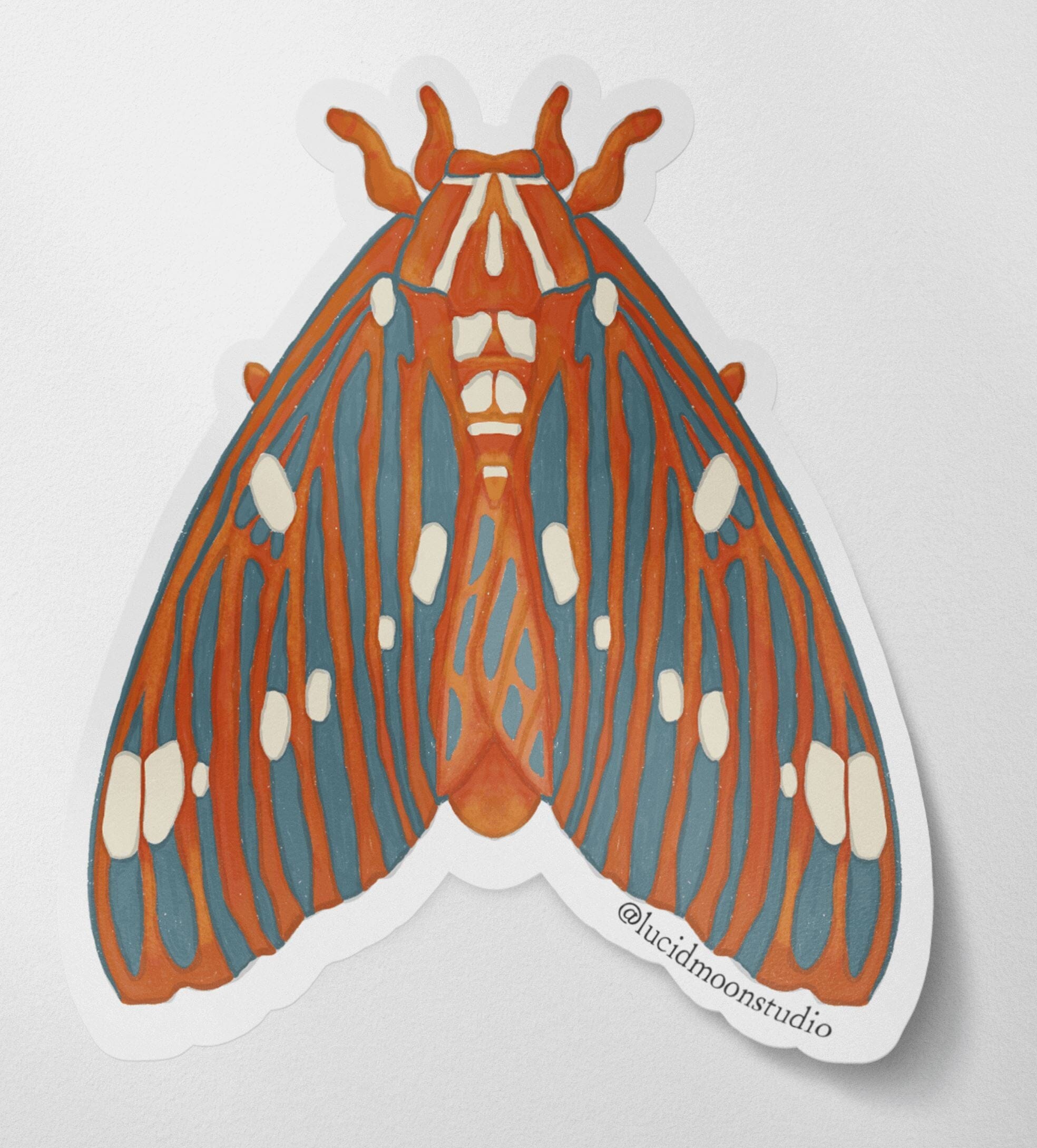 Regal Moth Glossy Vinyl Waterproof Sticker stickers Lucid Moon Studio