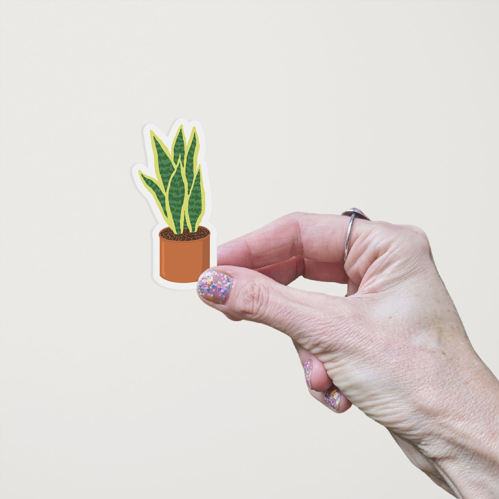 Hand holding a vinyl matte sticker with a hand drawn illustration of a green and yellow snake plant in an orange terracotta pot against a white background.