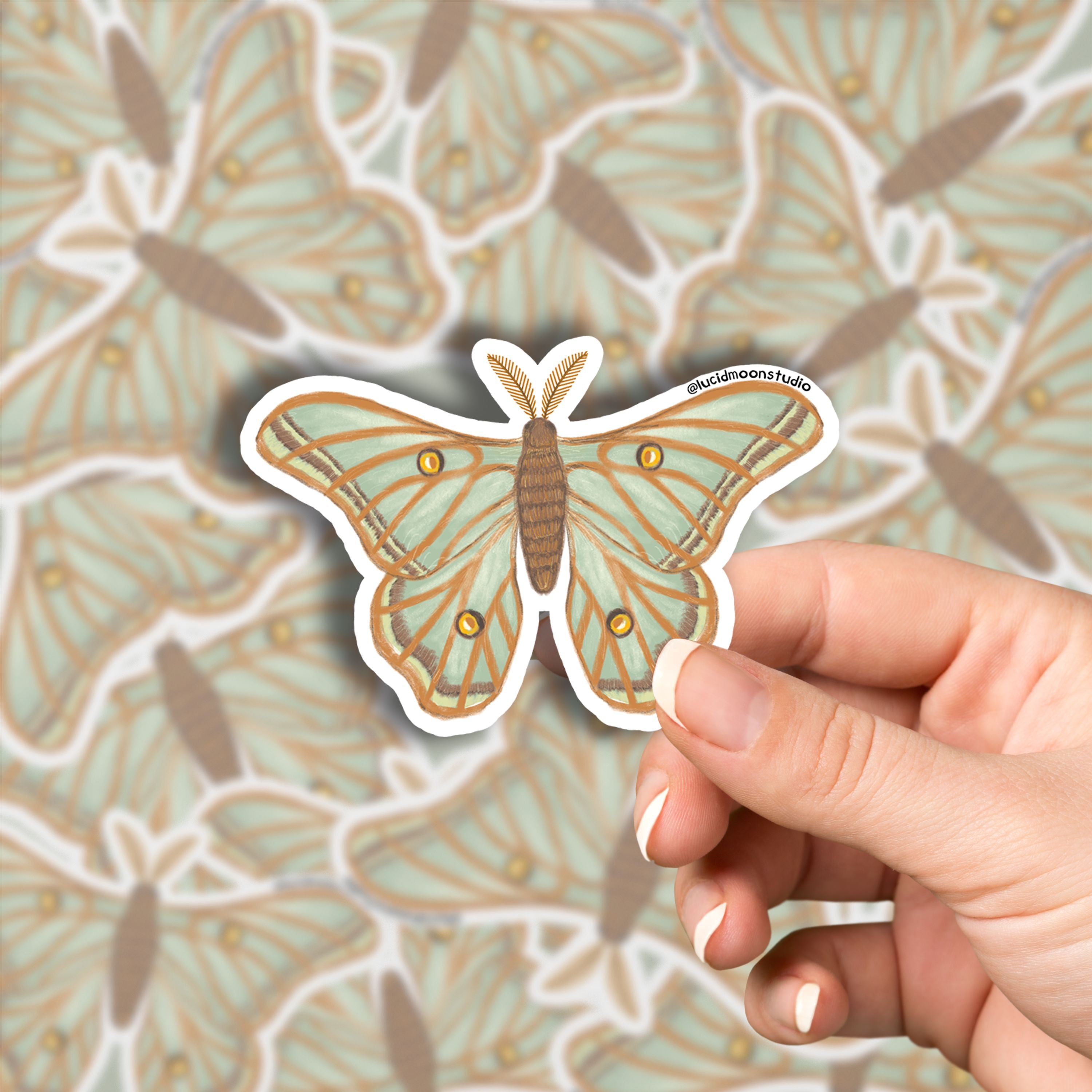 Spanish Moon Moth Vinyl Sticker stickers Lucid Moon Studio
