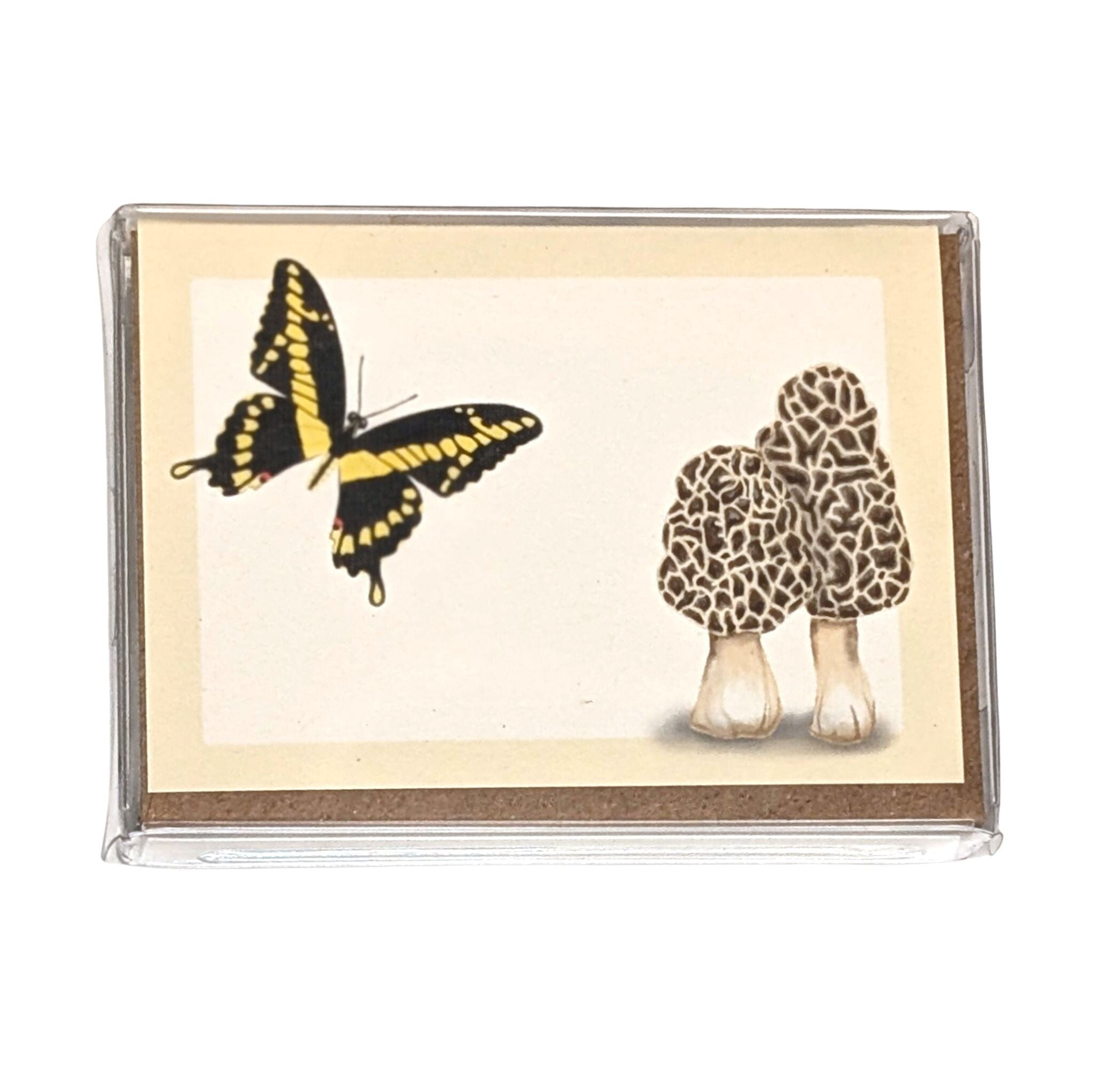 Swallowtail and Morel Mushrooms | Boxed Mini Cards (8) Greeting Cards Lucid Moon Studio