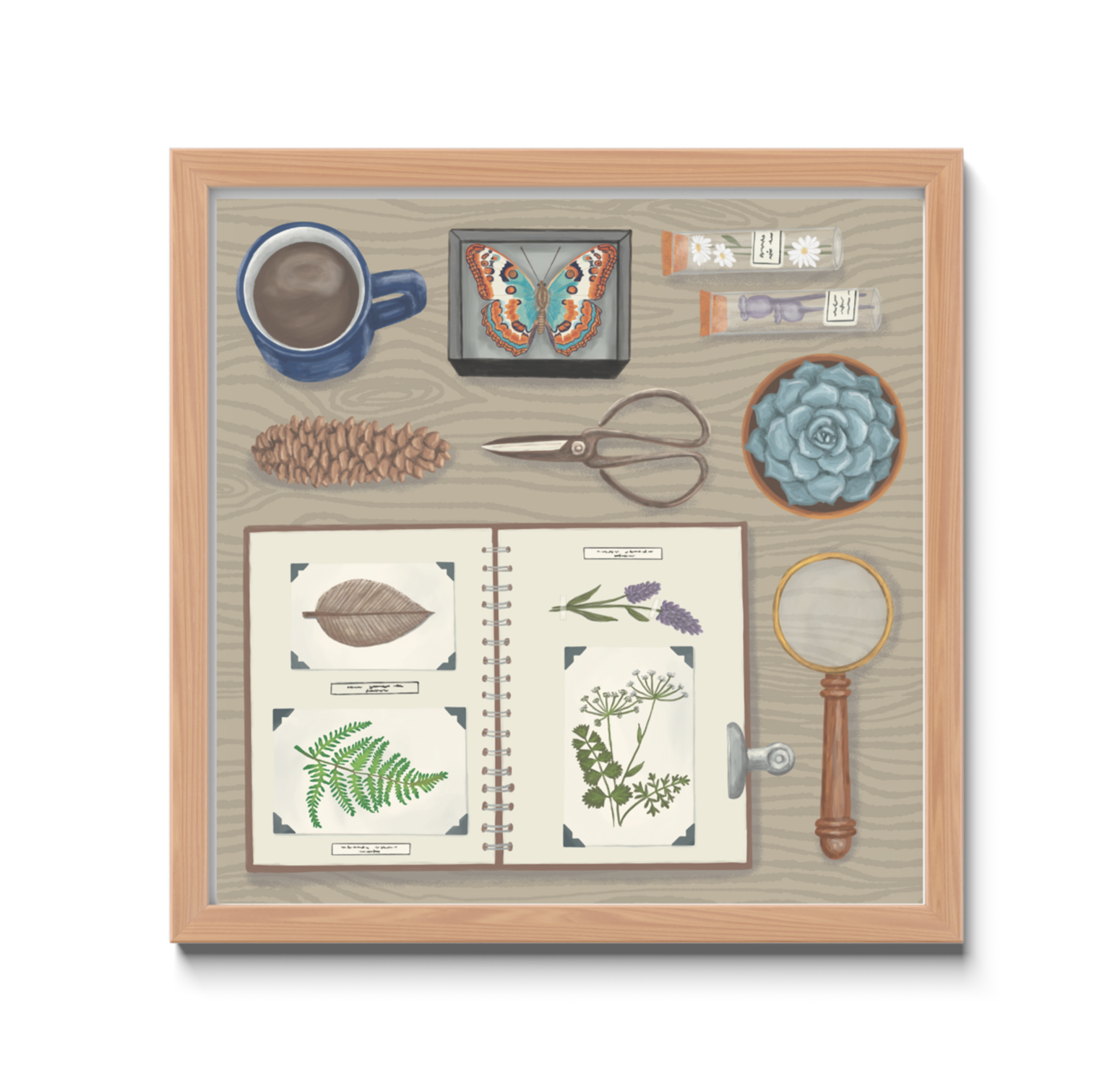 Botanist's desk with various items including a scrapbook, scissors, dried flowers, pinecone, succulent, and a butterfly specimen on a wood background