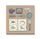 Botanist's desk with various items including a scrapbook, scissors, dried flowers, pinecone, succulent, and a butterfly specimen on a wood background