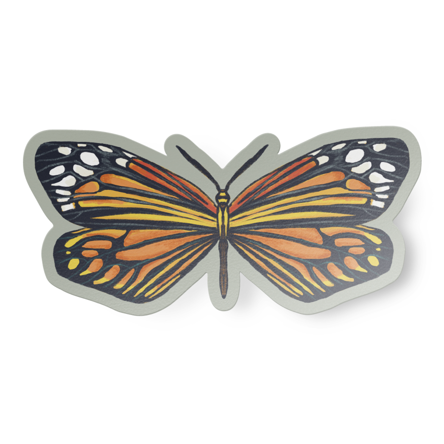 Vinyl sticker featuring a hand-drawn illustration of an orange, yellow, black, and white chalcosiine moth on a grey background