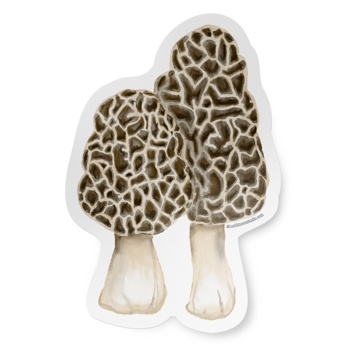 Sticker of two morel mushrooms on a white background