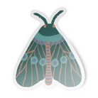 Illustration of a teal, purple, and peach moth on a white background