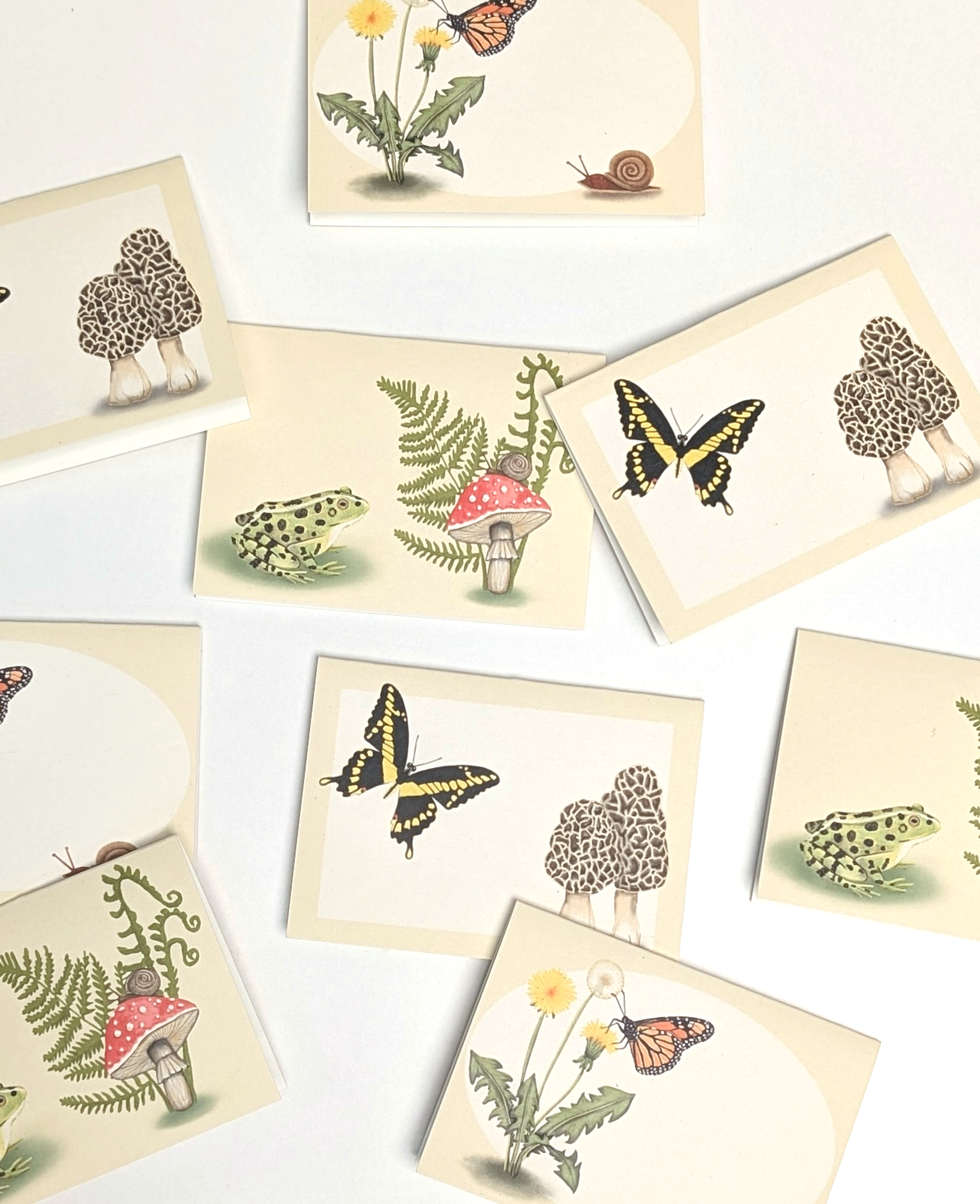 A selection of blank-inside mini notecards with gorgeous hand-painted nature designs on the front that include butterflies, mushrooms, and flowers.