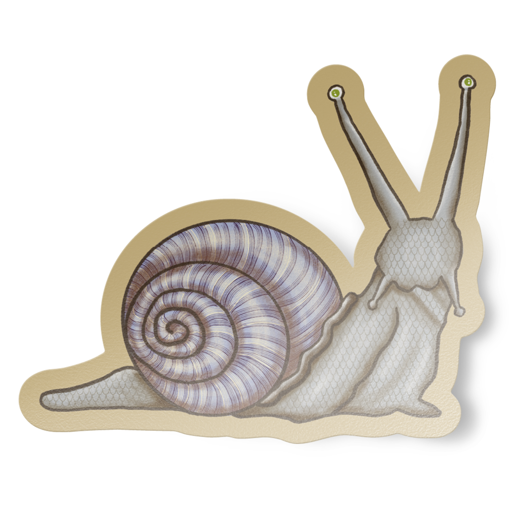 Vinyl sticker with a detailed hand-drawn illustration of a beige and purple snail on a tan background