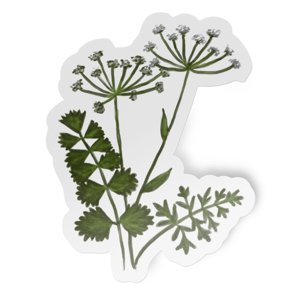 Sticker with green plant design on a white background