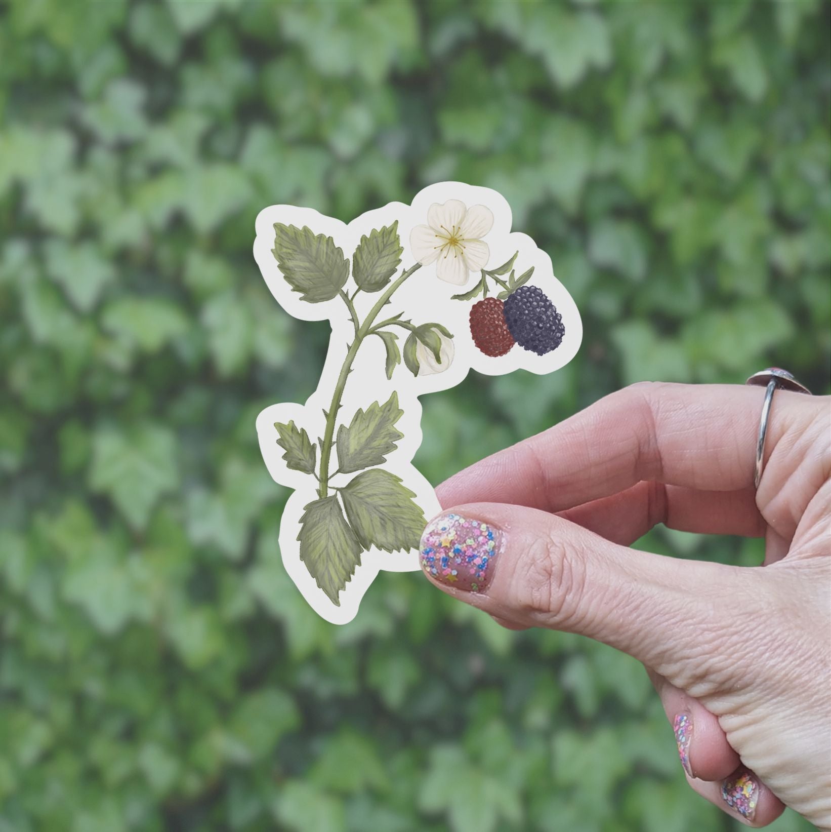 Blackberries Vinyl Sticker stickers Lucid Moon Studio LLC 