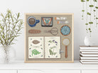 Botanist's Desk 8" x 8" Art Print Art Print Lucid Moon Studio 
