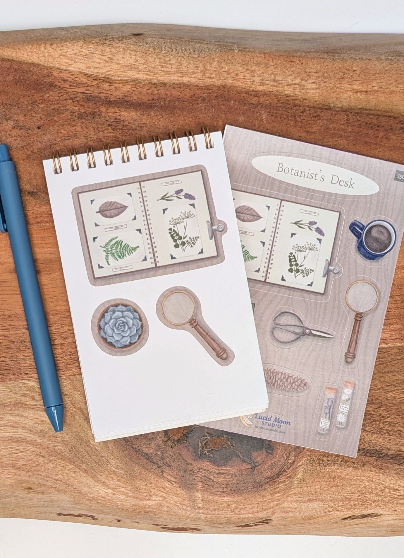 Botanist's Desk Vinyl Sticker Sheet stickers Lucid Moon Studio 