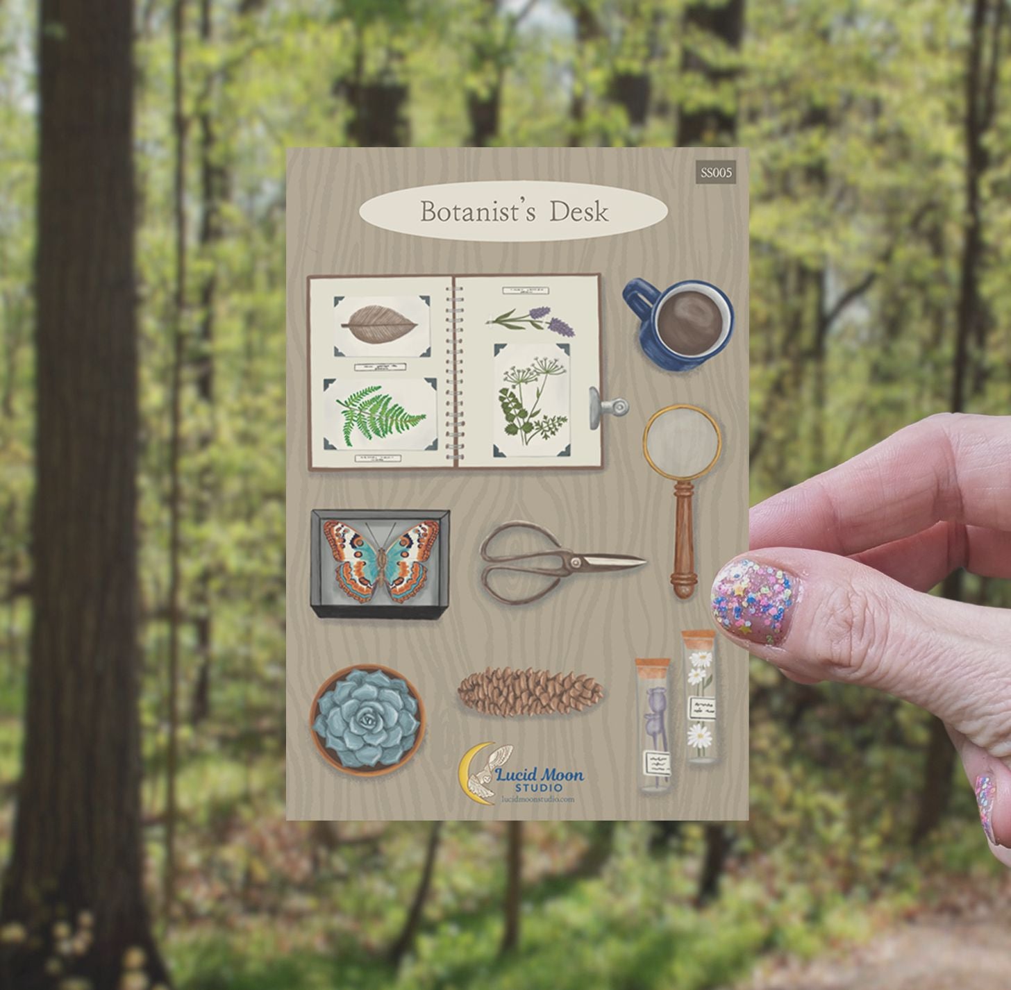 Botanist's Desk Vinyl Sticker Sheet stickers Lucid Moon Studio 