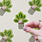 Calathea Plant Vinyl Sticker stickers Lucid Moon Studio 