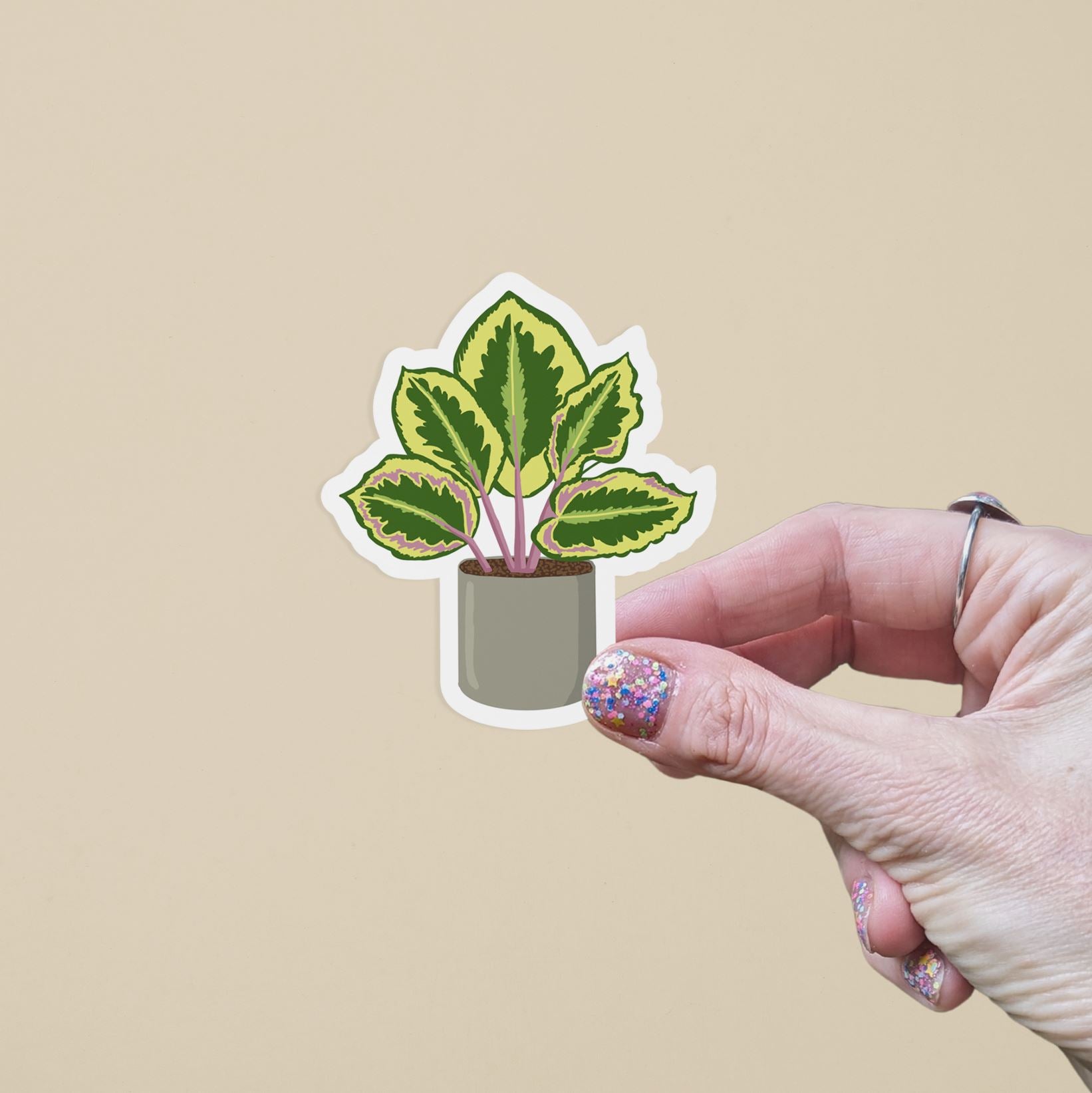 Calathea Plant Vinyl Sticker stickers Lucid Moon Studio 