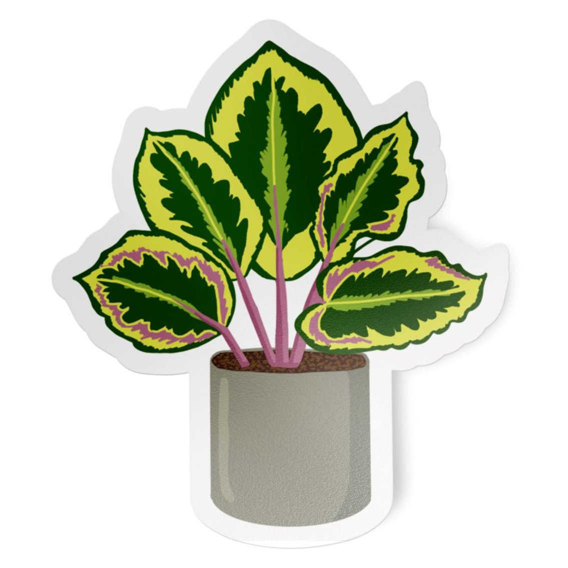 Calathea Plant Vinyl Sticker stickers Lucid Moon Studio 