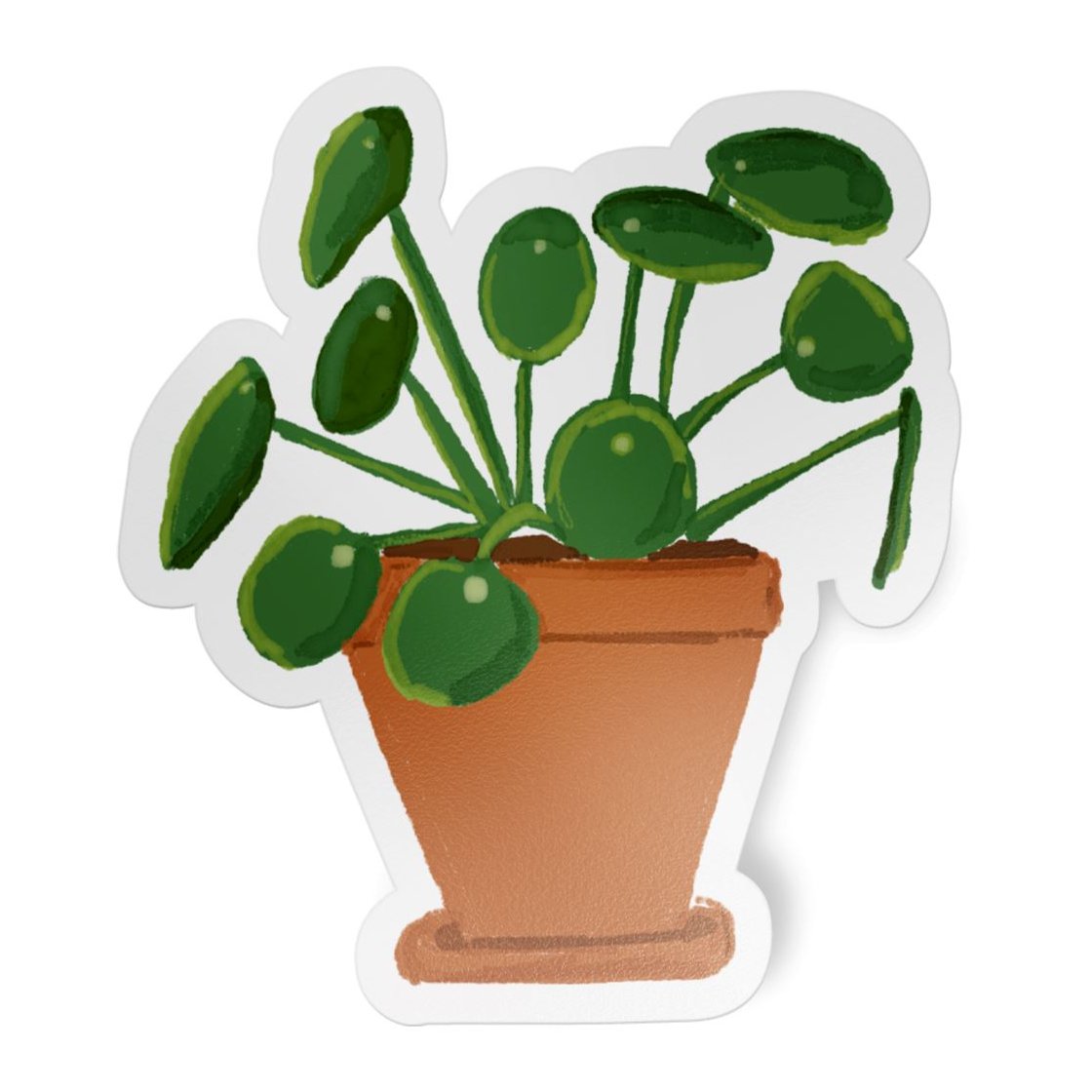 Chinese Money Plant Vinyl Sticker stickers Lucid Moon Studio 