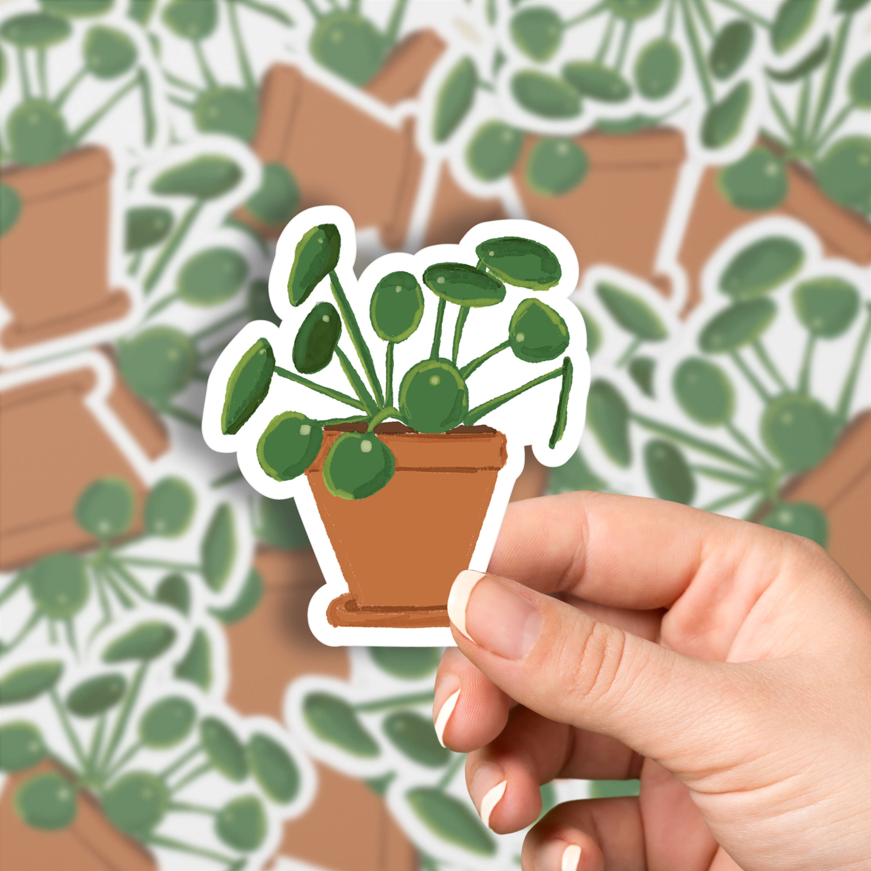 Chinese Money Plant Vinyl Sticker stickers Lucid Moon Studio 