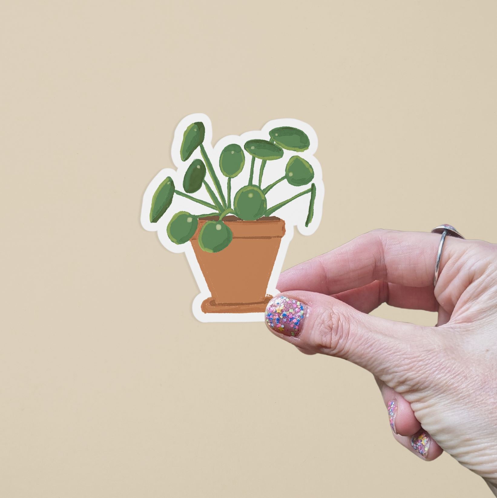 Chinese Money Plant Vinyl Sticker stickers Lucid Moon Studio 