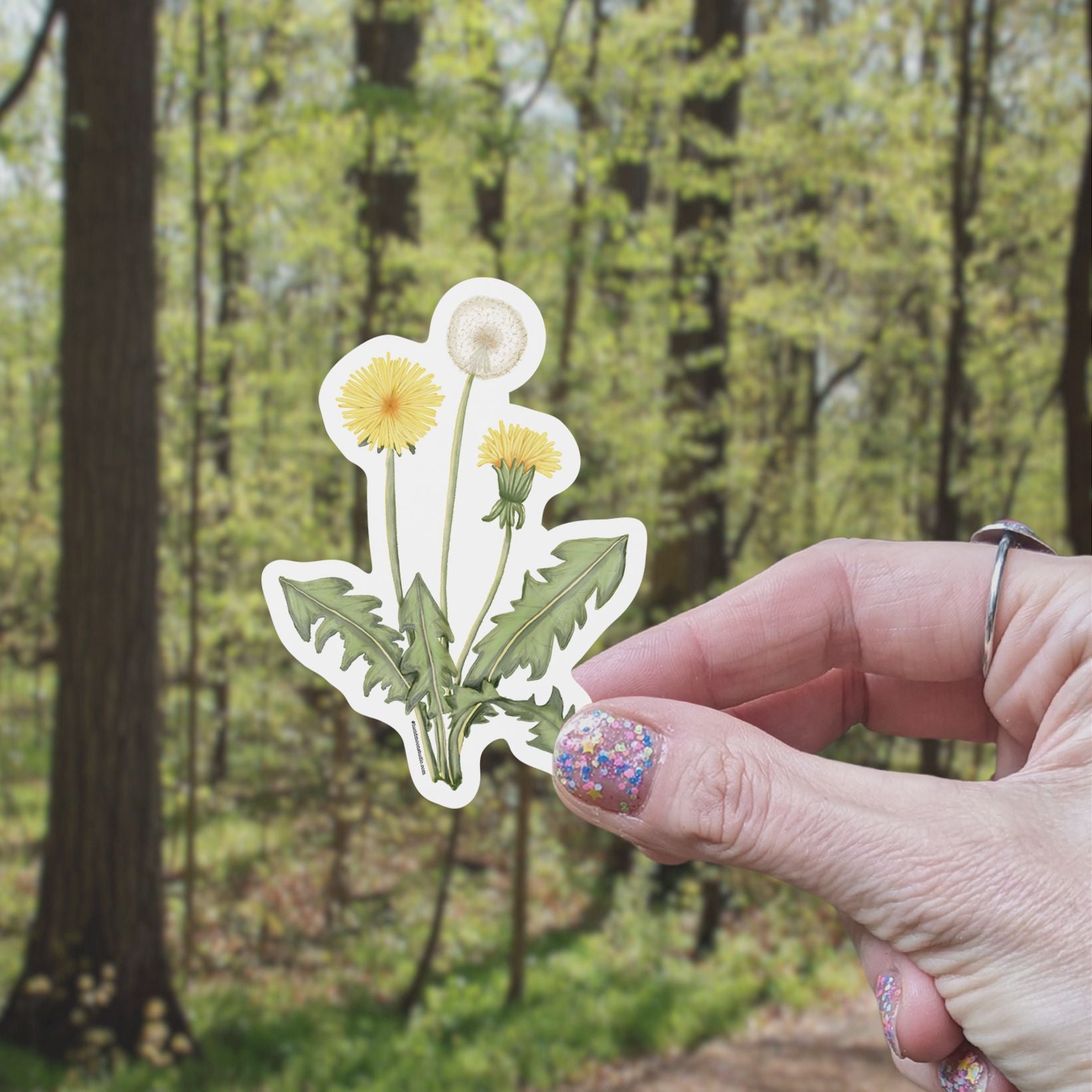 Dandelions Vinyl Sticker stickers Lucid Moon Studio LLC 