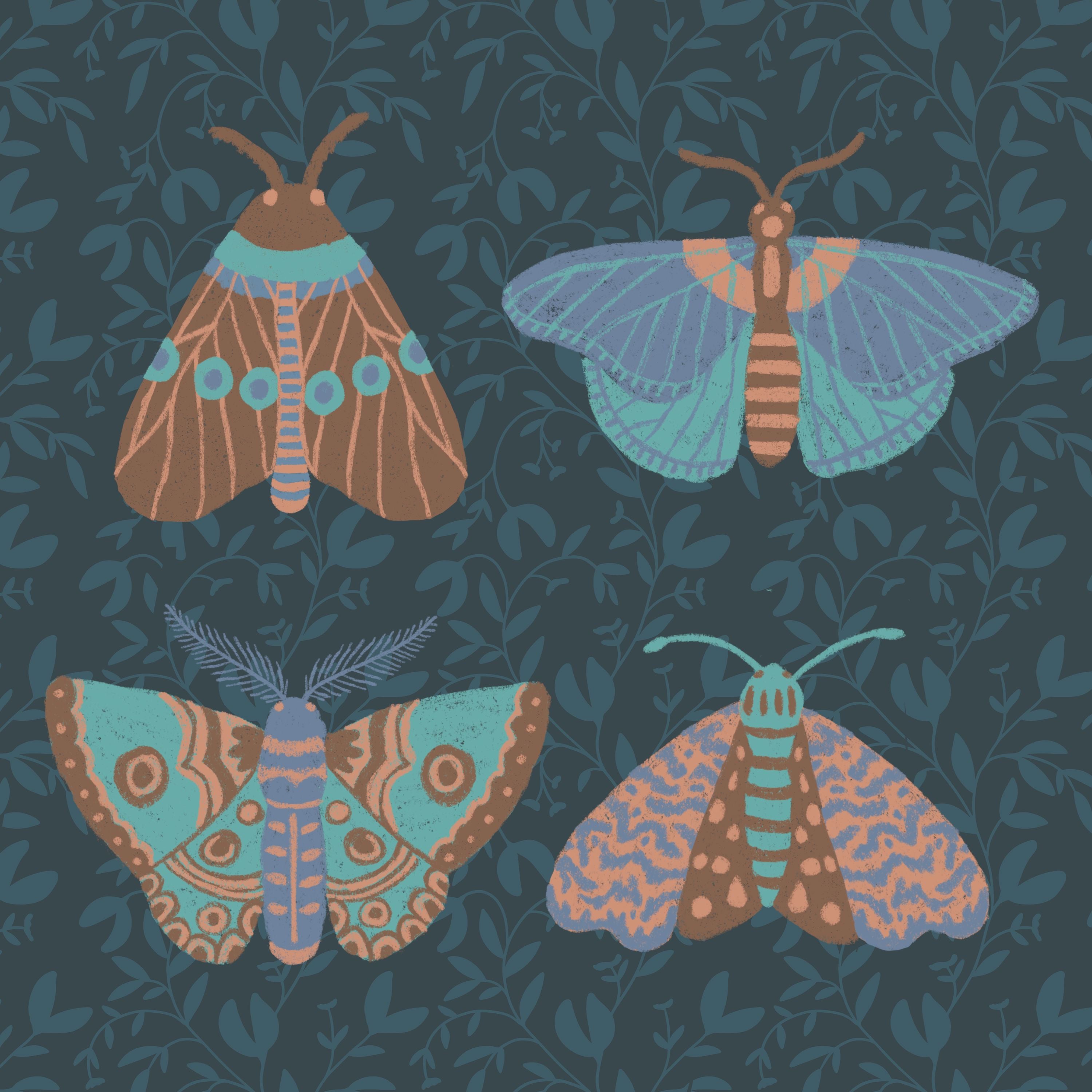 Four Moths 8" x 8" Art Print Art Print Lucid Moon Studio 