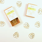 Gold Monstera Leaf Boxed Paper Clips Paper Clips Lucid Moon Studio 