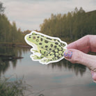 Green Frog Vinyl Sticker stickers Lucid Moon Studio LLC 