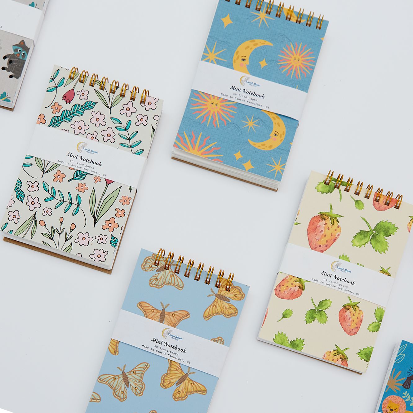 Leap Frogs Top Spiral Jotter Pocket Notebook Notebooks Lucid Moon Studio 