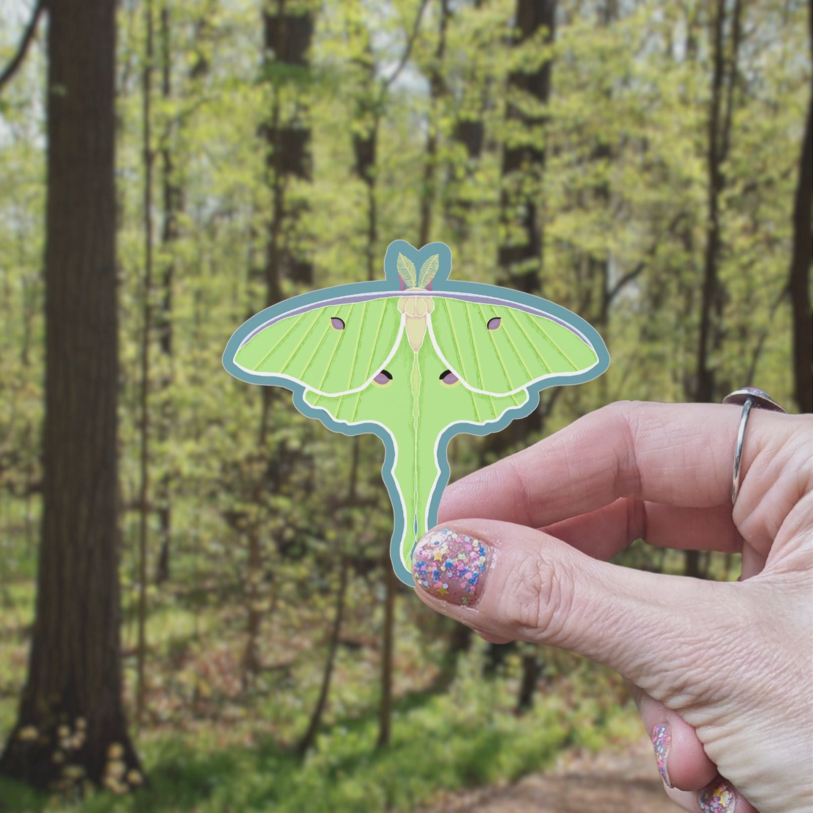 Luna Moth Vinyl Sticker stickers Lucid Moon Studio 